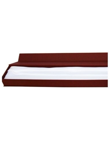 Bastón de mando + estuche