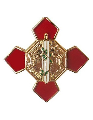Pin Cruz Merito Policial Distintivo Rojo