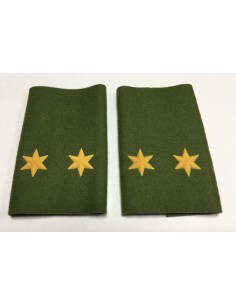 Manguito Goe Ejército de Tierra Teniente (Par)