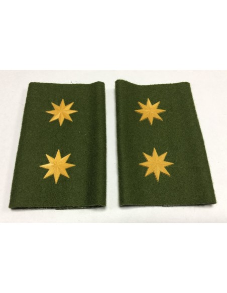 Manguito Goe Ejército de Tierra Teniente Coronel (Par)