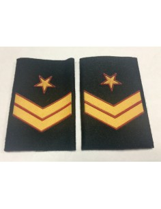 Manguito Caballería Ejército de Tierra Suboficial Mayor (Par)