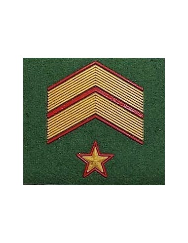 Parches Divisas de chándal Unidades de Montaña