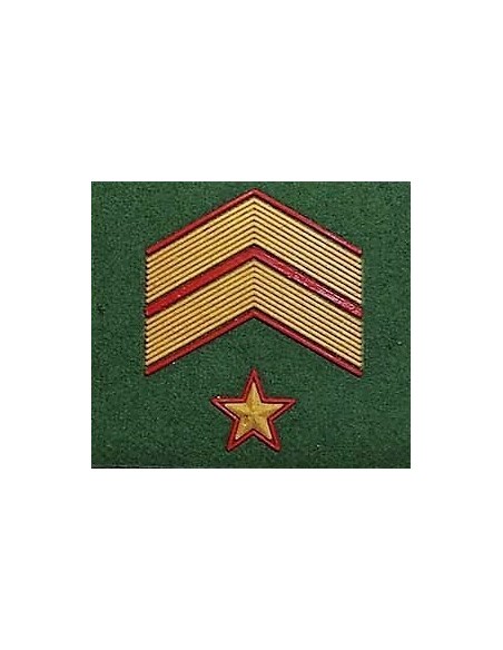 Parches Divisas de chándal Unidades de Montaña