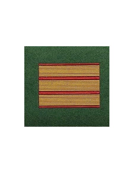 Parches Divisas de chándal Unidades de Montaña