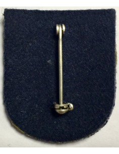 Distintivo con laña academia de policía Avila 2